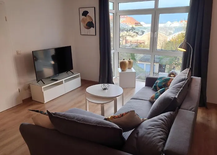 Ginkgotraum * Dresden