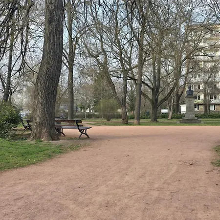 Ginkgotraum * دريسدن